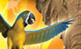 Wii ZooVet thumbnail